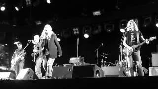 Patti Smith - Dancing Barefoot  @ Haldern Popfestival