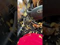 Mr Tac Bell Strikes Again Dotzshow Vankarma Doublegulpcup Comedy