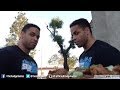 Childhood Story With Flamebroiler Post Workout Meal Hodgetwins