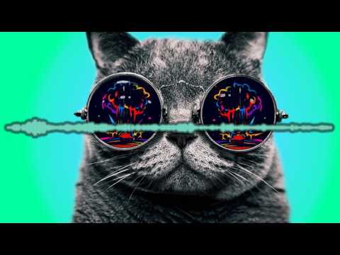 Skrillex Vs Zomboy Mashup | Rodr1 Music