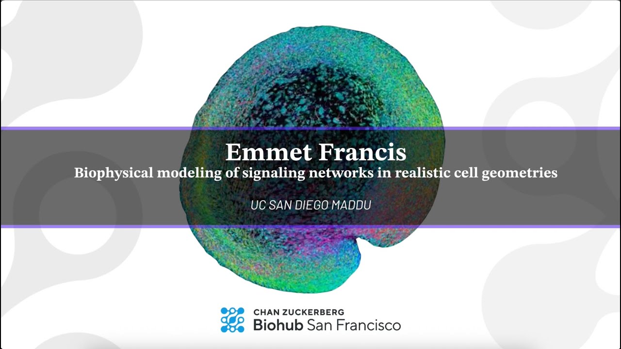 Physics of Life Symposium 2025: Emmet Francis