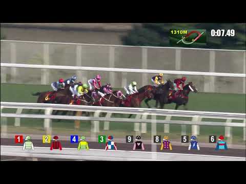 美麗笑容21/02/14……(428)第八塲一班1400米