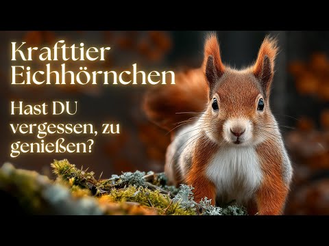 Krafttier Eichhörnchen: Warum das Eichhörnchen dich an Selbstfürsorge erinnert