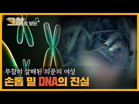 손톱 밑 Y염색체의 진실, DNA 미스터리 | 그알 캐비닛