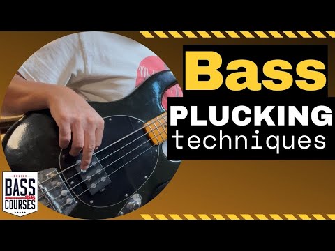 Bass Guitar Plucking Techniques