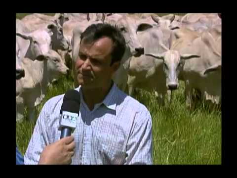 Entrevista com Marcos Rezende