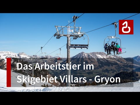 Sesselbahn Lac Noir - Chaux Ronde (Villars - Gryon)