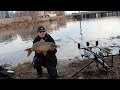 Winter Carp Fishing In Virginia Potomac River Va