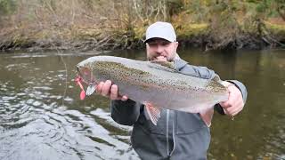 Video thumbnail 1
