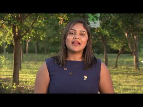 Programa "Que curso é esse?"