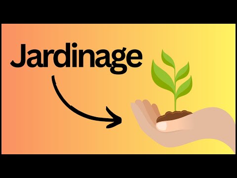 How to Call Your Lover in French  Vocabulary