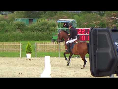 Almoretto x Romino , geb.2007