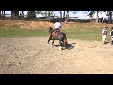 Jeito Lindo da Bela Aliança