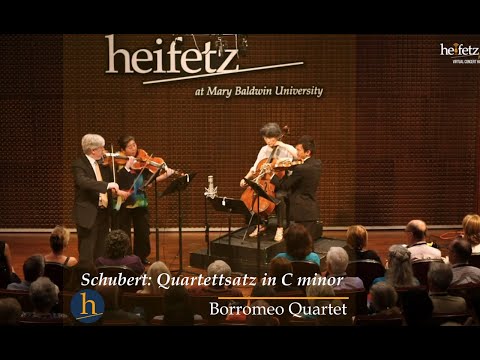 Schubert: Quartettsatz in C Minor, D. 703 | Borromeo Quartet
