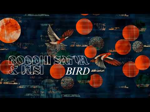 Boddhi Satva & Kisi - Bird