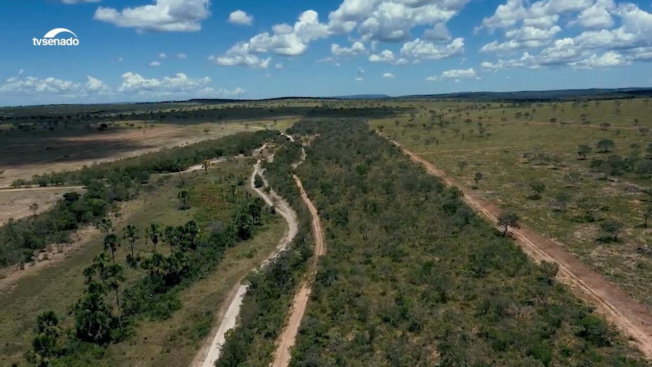 Desmatamento no Brasil cai. Taxa do Cerrado ultrapassa a da Amazônia (audiodescrição)