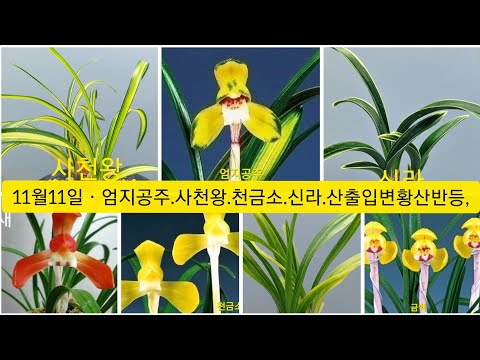 유튜브 썸네일