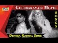 Deiviga Kadhal Song MGR T R Rajakumari Gulebakavali Movie Raj TV