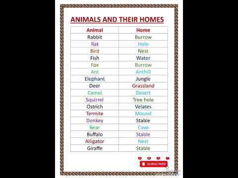 Animals and their homes 🏠