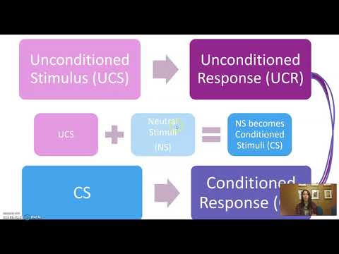 Conditioned vs Unconditioned Stimulus and Response