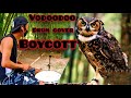 Vodoodoo-boycott drum cover(sar-im)