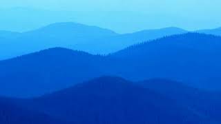 Stranglers - Never to look back