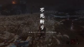 SEKIRO™： SHADOWS DIE TWICE_20240926050157