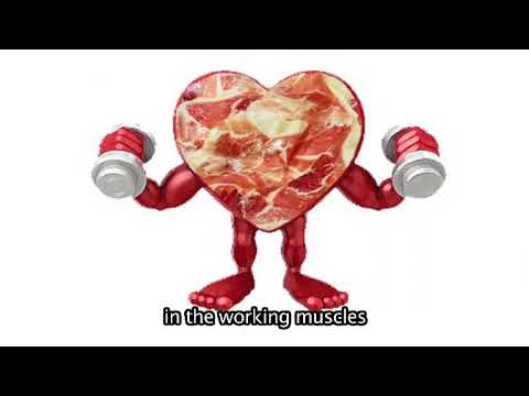 The Carnitine (Part 2)