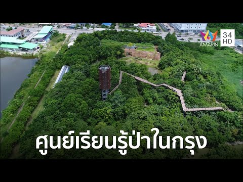 ศูนย์เรียนรู้ป่าในกรุง
