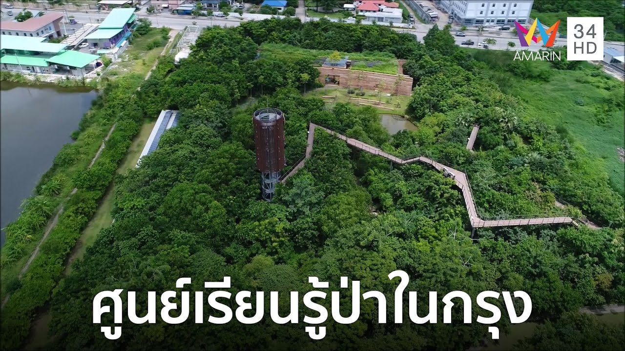 ศูนย์เรียนรู้ป่าในกรุง