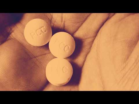 Cellar Skulls - Hidden Paradise