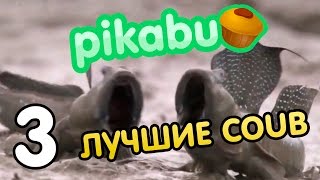 Смотреть онлайн Подборка: Самые смешные приколы Coub