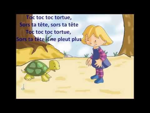 Toc toc toc tortue