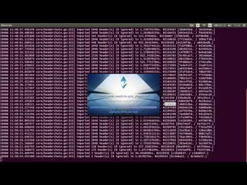 Ethereum Go light client test with Mist