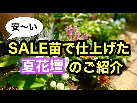 苗を何に入れますか？ 4 つの回復アイデア + ビデオ手順  庭園