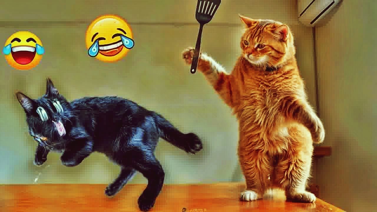 𝐅𝐮𝐧𝐧𝐲 𝐃𝐎𝐆𝐒 𝐚𝐧𝐝 𝐂𝐀𝐓𝐒 𝐕𝐢𝐝𝐞𝐨𝐬 𝟐𝟎𝟐𝟒 😻🐱🐤 𝐁𝐞𝐬𝐭 𝐅𝐮𝐧𝐧𝐢𝐞𝐬𝐭 𝐀𝐧𝐢𝐦𝐚𝐥 𝐕𝐢𝐝𝐞𝐨𝐬 😸
