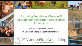 Upcoming Regulatory Changes & Appropriate Medication Use in Small Ruminants