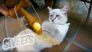 Alex Hirota // Backyard Bangers Vol. 1 // Sweets Kendamas