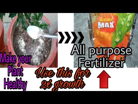 Micronutrients Fertilizer/ Uses and Benefits/ Micronutrient for Plant/ Best Fertilizer