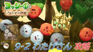 【ヨッシーとフカシギの図鑑】9-2 わたげさんを拡大する 調査、フラワーコンプリート【攻略/switch2】