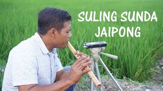 Download lagu SULING SUNDA DI SAWAH Koplo Jaipong Seruling sunda... mp3