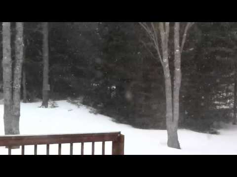 2013-02-09 in SE New Brunswick, Canada 3