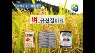 [농사정보] (3월1주)  벼_규산질비료