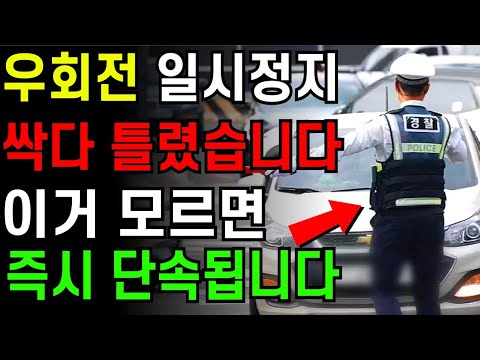 자동차 운전 우회전 일시정지