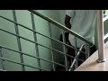 Latest MMS Viral Video New Viral Private Video Leaked A Boy Girl Caught During Intimate