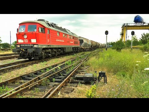 BR232 Ludmilla Pleacă spre Ungaria cu un Tren de Marfă din Gara Episcopia Bihor - 13 Iulie 2023