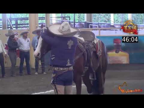 XXVI Campeonato Millonario Tequila Hacienda Vieja 2023 Final AAA