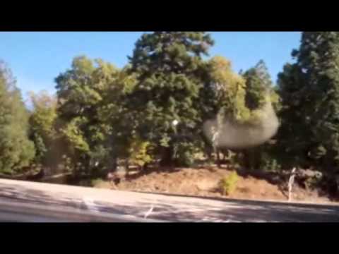Mt Palomar Ride CC.wmv