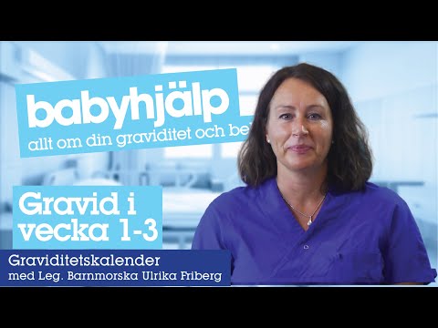 Gravid vecka 1, 2 och 3 - kroppen och fostrets utveckling i graviditetsvecka 1-3