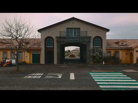 ソレイユの丘ショートムービー60秒ver 2K - m80041